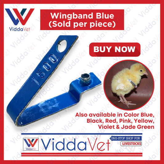 WingBand Blue 1pc