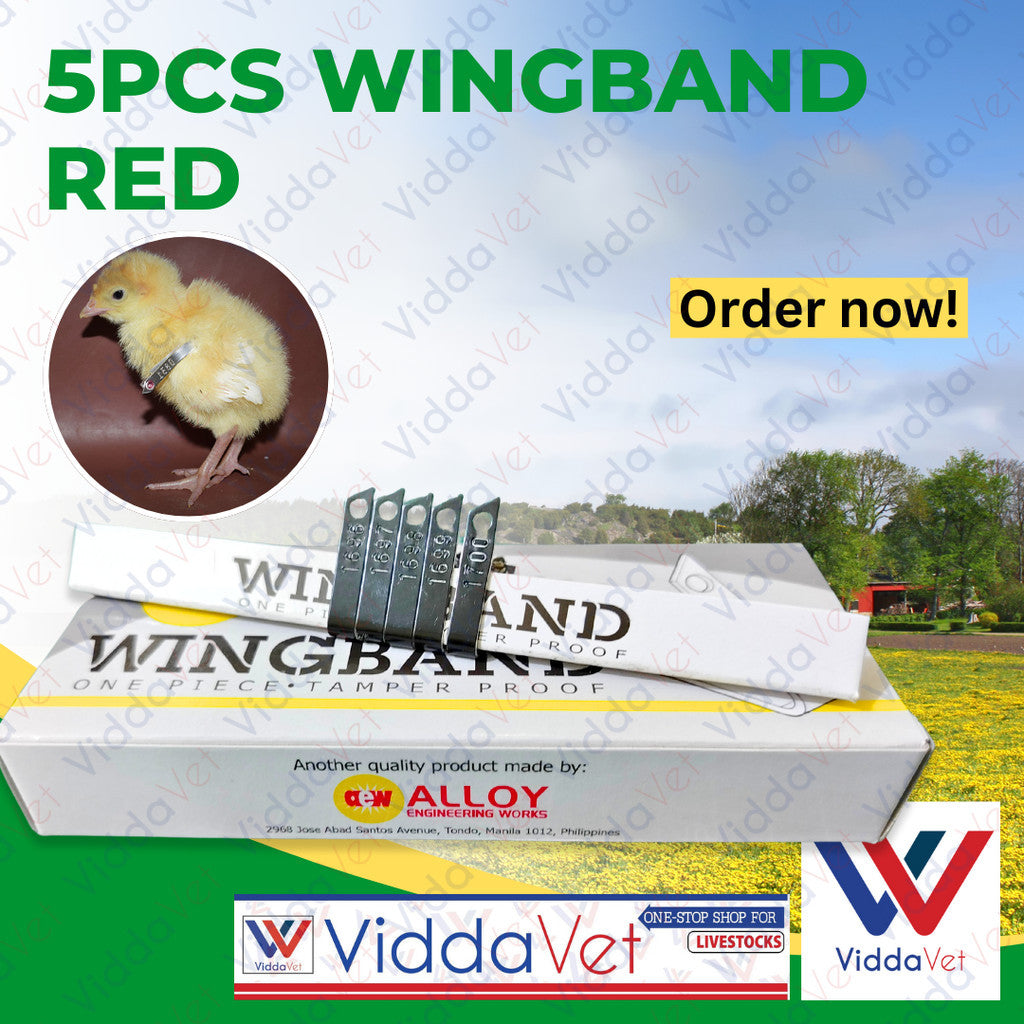 Wing Bands Red 5pcs