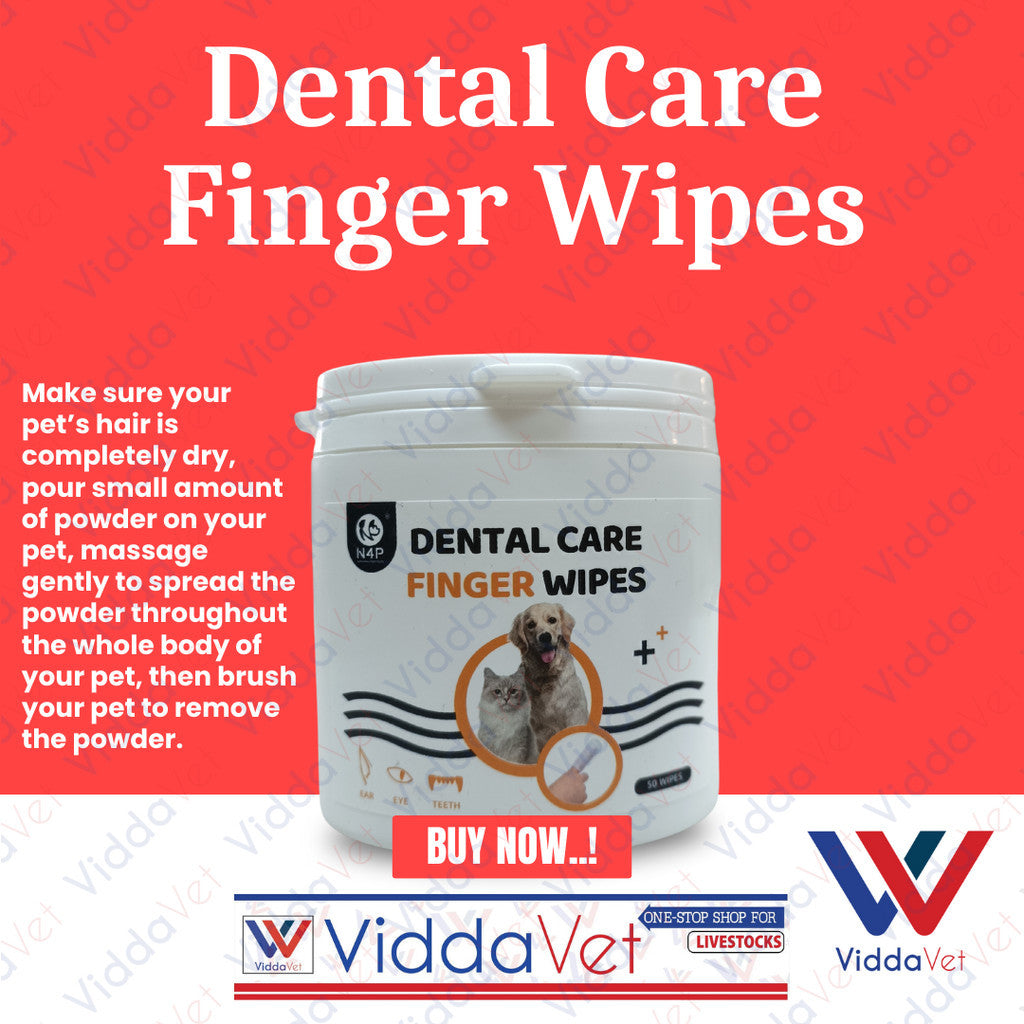 Dental Care Finger Wipes