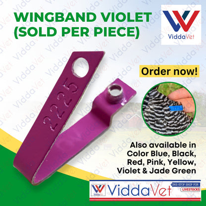 Wingband Violet Color