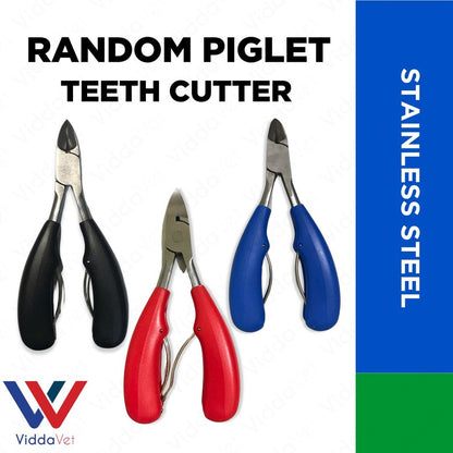 Piglet Teeth Cutter (Random)