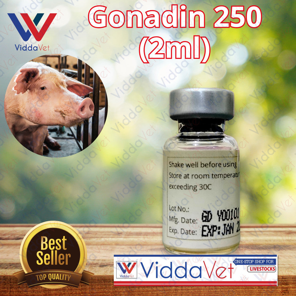 Gonadin 250 (2ml) for Pigs Comprehensive Reproductive Health Solution