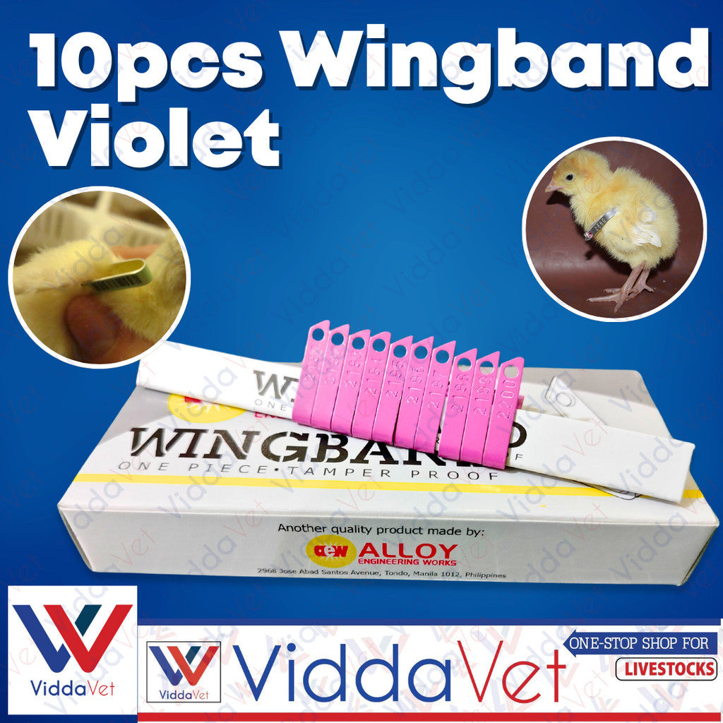 Wing Bands Violet 10pcs