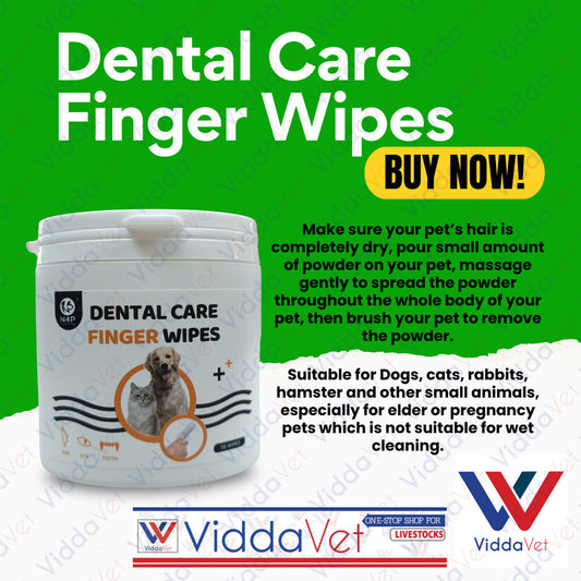 Dental Care Finger Wipes