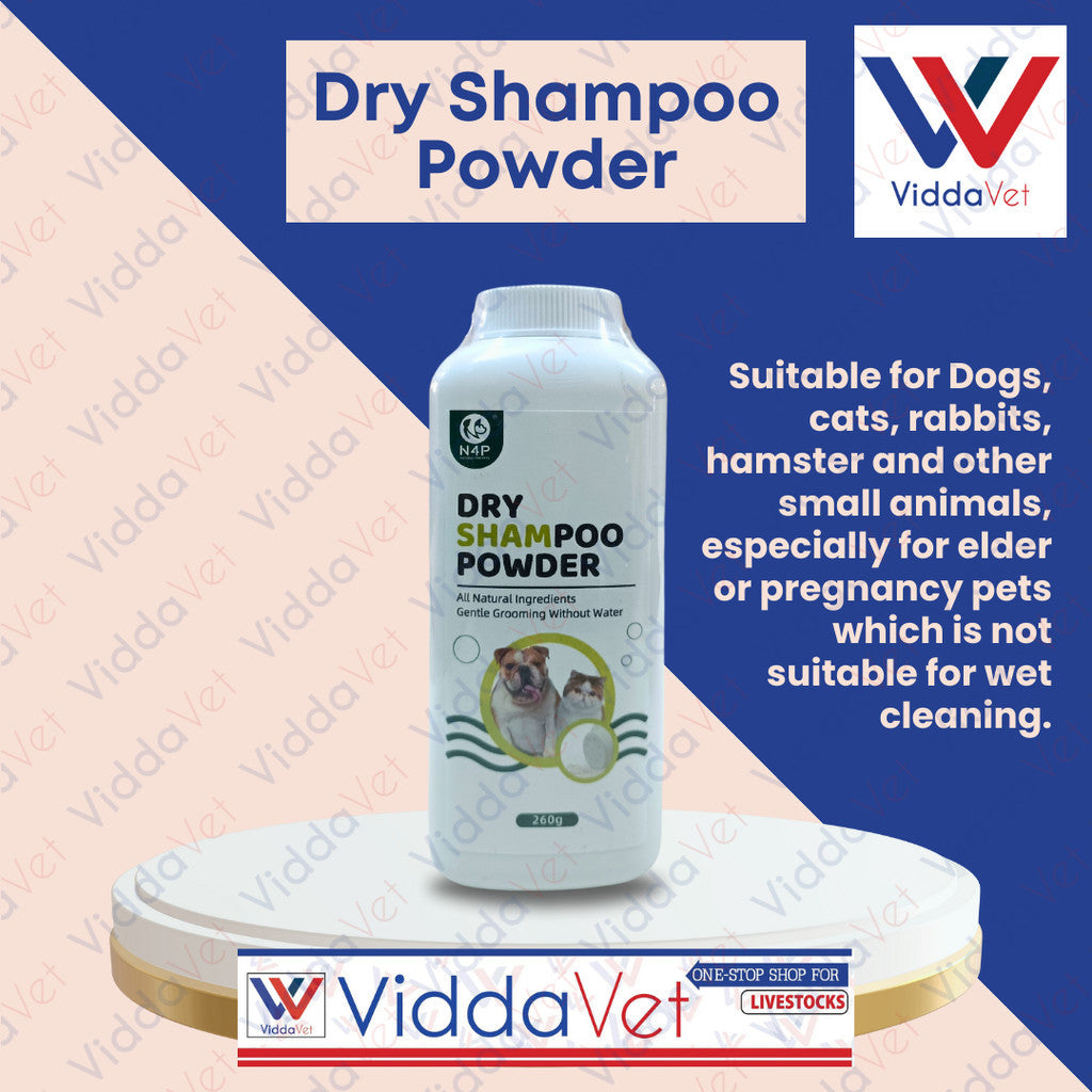 N4P Dry Shampoo Powder