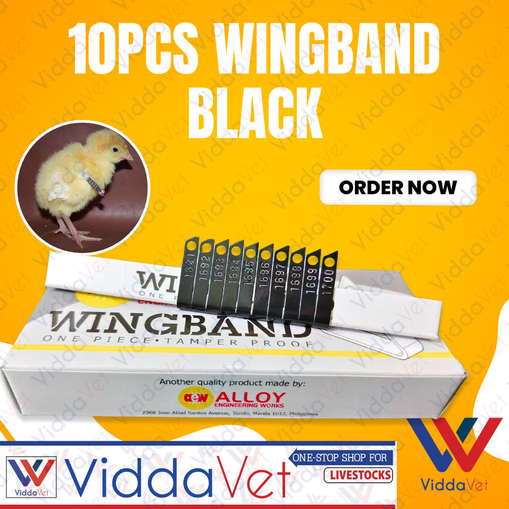 Wing Bands Black 10pcs