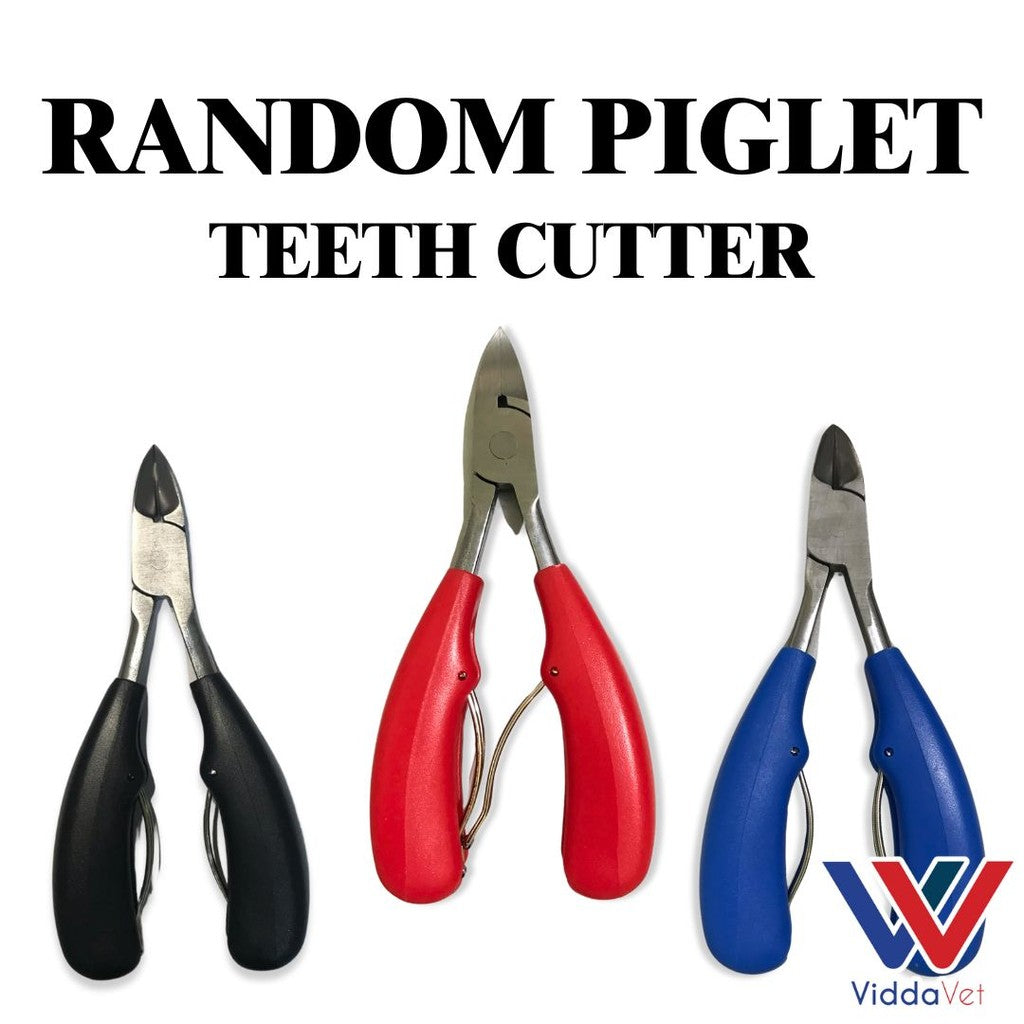 Piglet Teeth Cutter (Random)