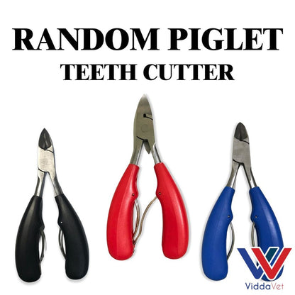 Piglet Teeth Cutter (Random)
