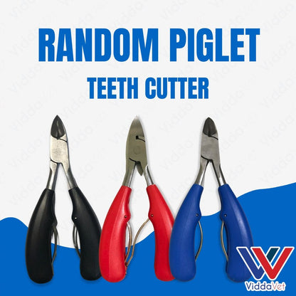 Piglet Teeth Cutter (Random)
