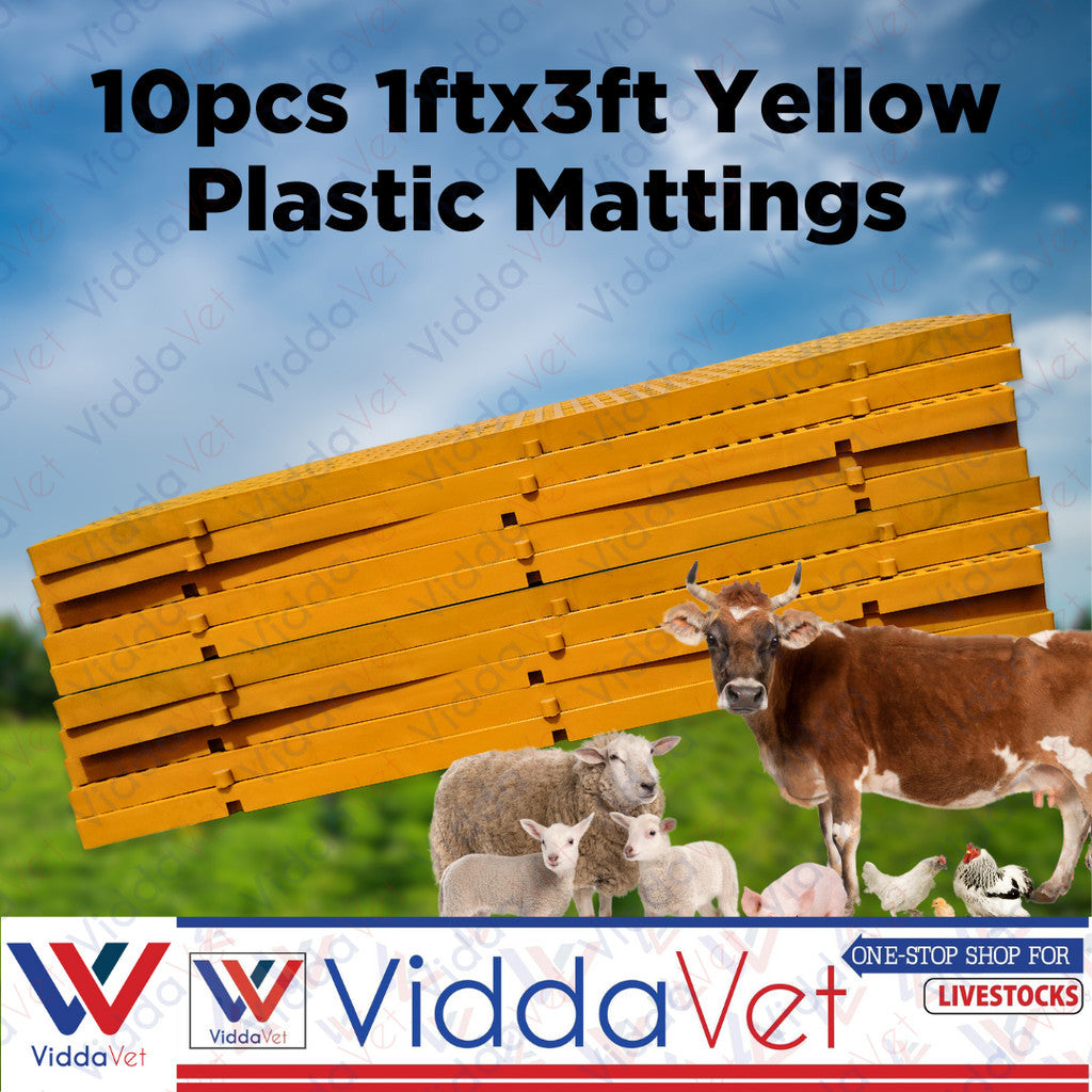 Plastic Mattings Yellow Golden Matt 1x3 10pcs