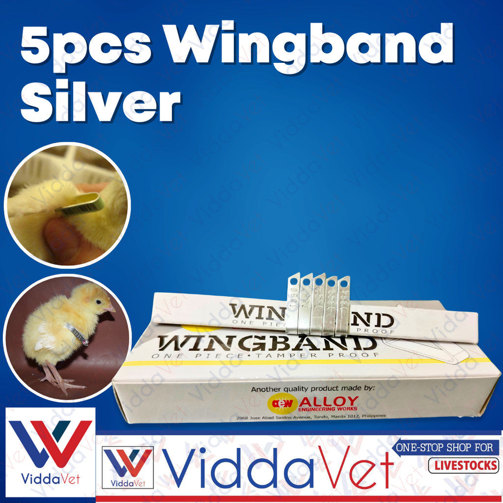 Wing Bands Silver 5pcs