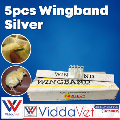 Wing Bands Silver 5pcs