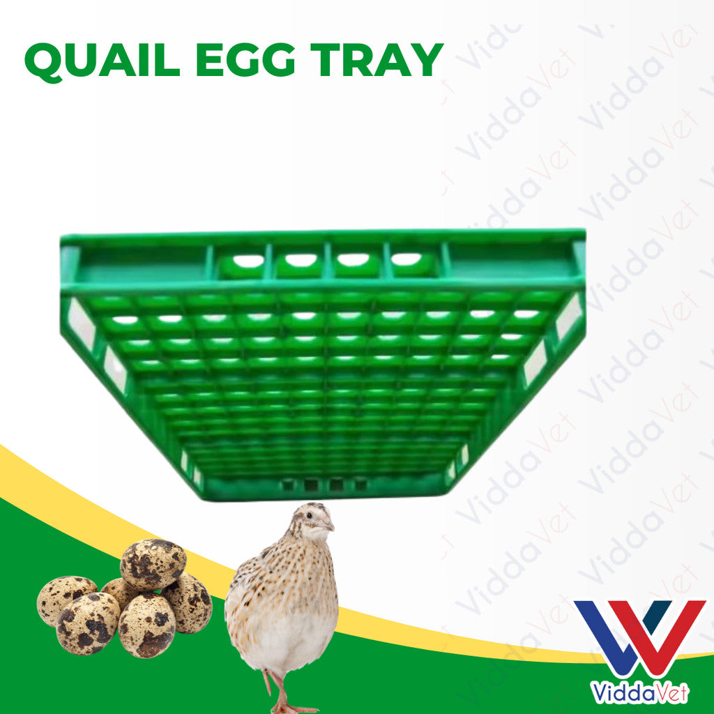 Quail Egg Try Heavy Duty