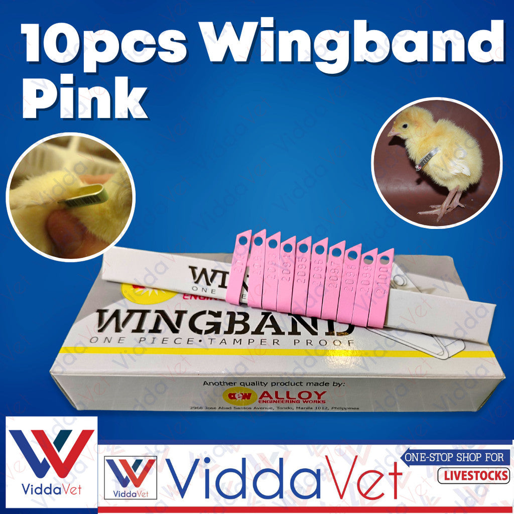 10pcs Wingband Pink