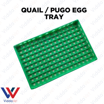 Quail Egg Try Heavy Duty