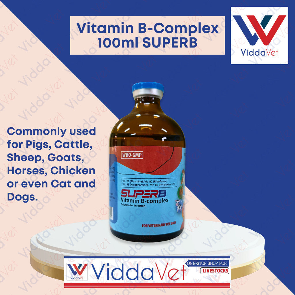 SUPERB Vitamin B-Complex 100ml
