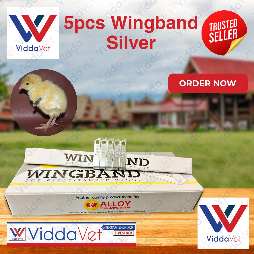 Wing Bands Silver 5pcs