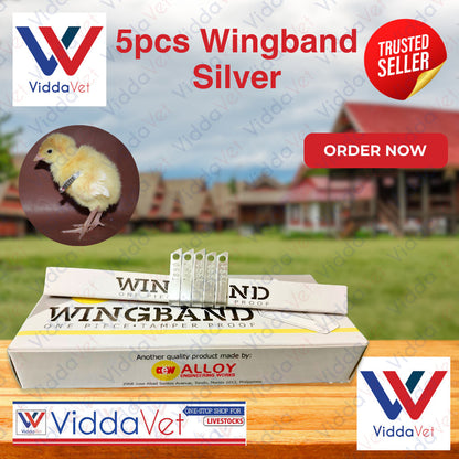 Wing Bands Silver 5pcs