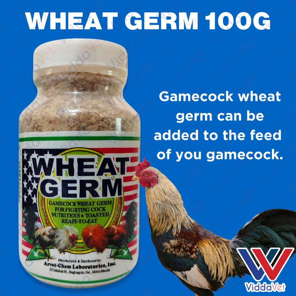 Wheat Germ 100g