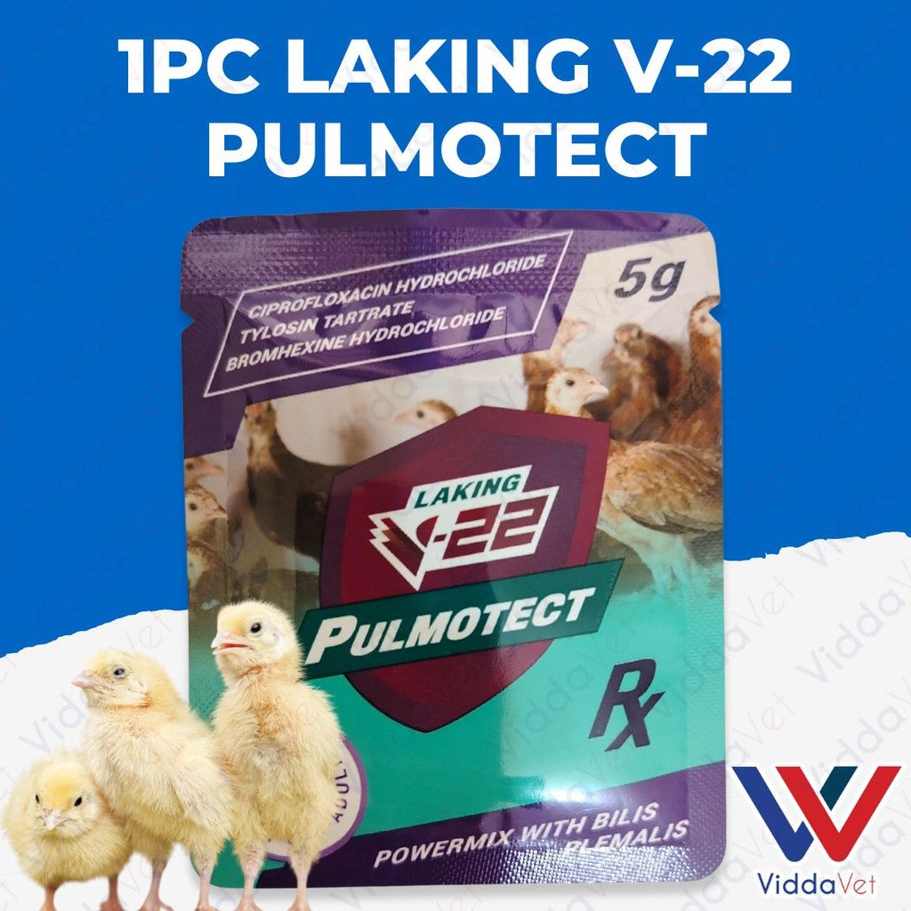 1pc LAKING V-22 Pulmotect 5g