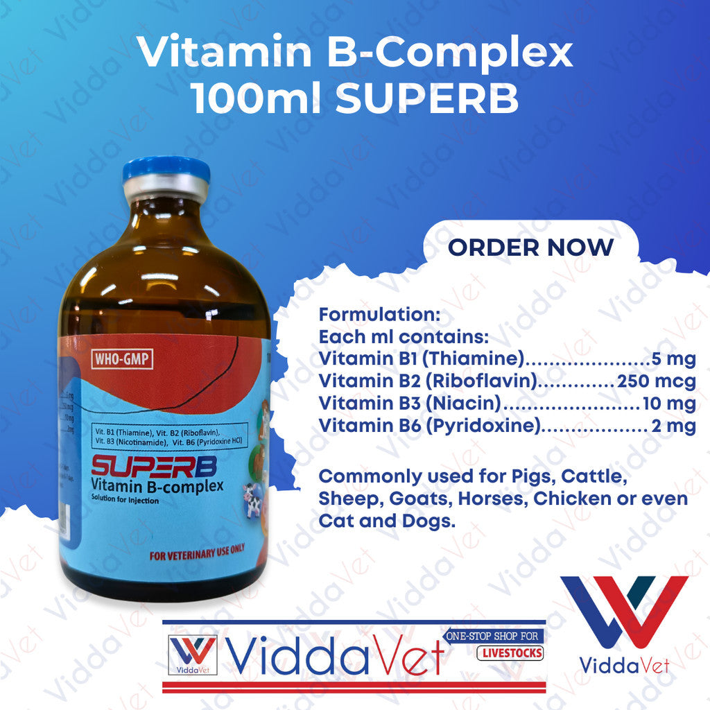 SUPERB Vitamin B-Complex 100ml