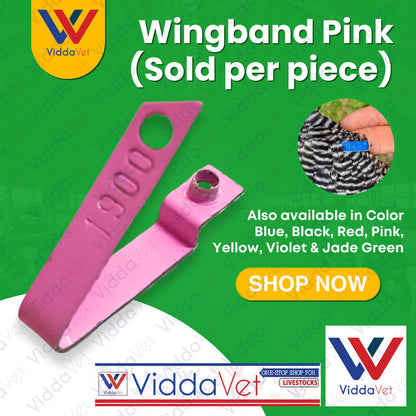 Wing Band Pink 1PC