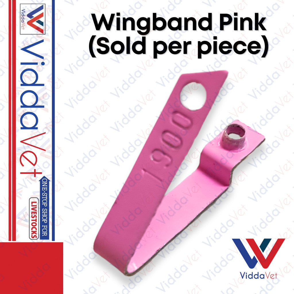 Wing Band Pink 1PC