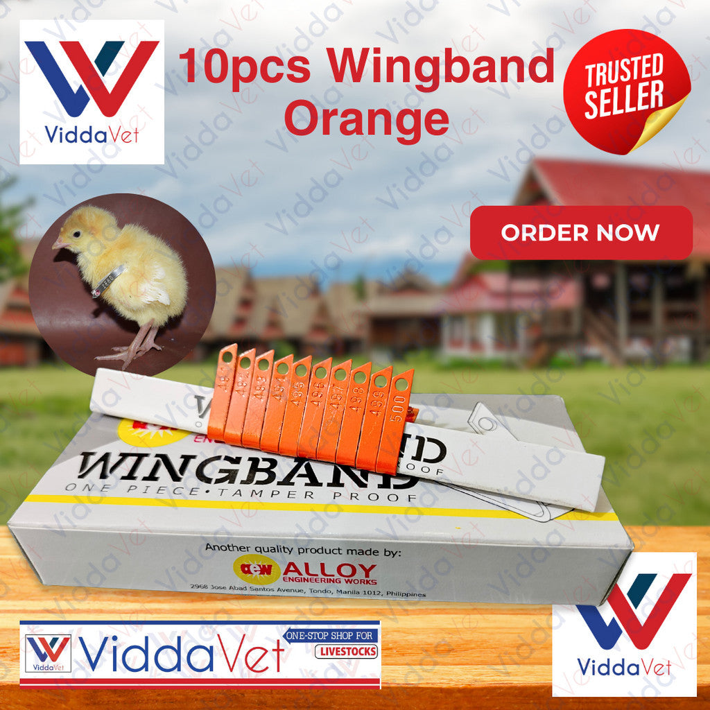 Wing Bands Orange 10pcs