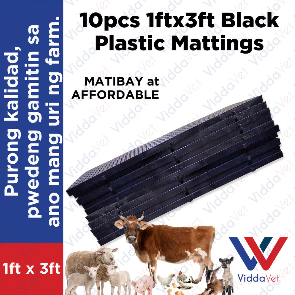 Plastic Mattings Black 1x3 10pcs