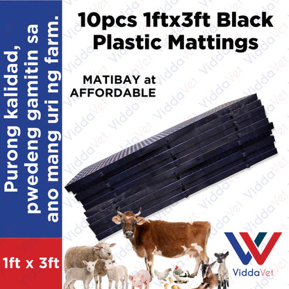 Plastic Mattings Black 1x3 10pcs