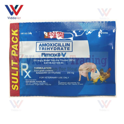 Amoxil-V 6Grams