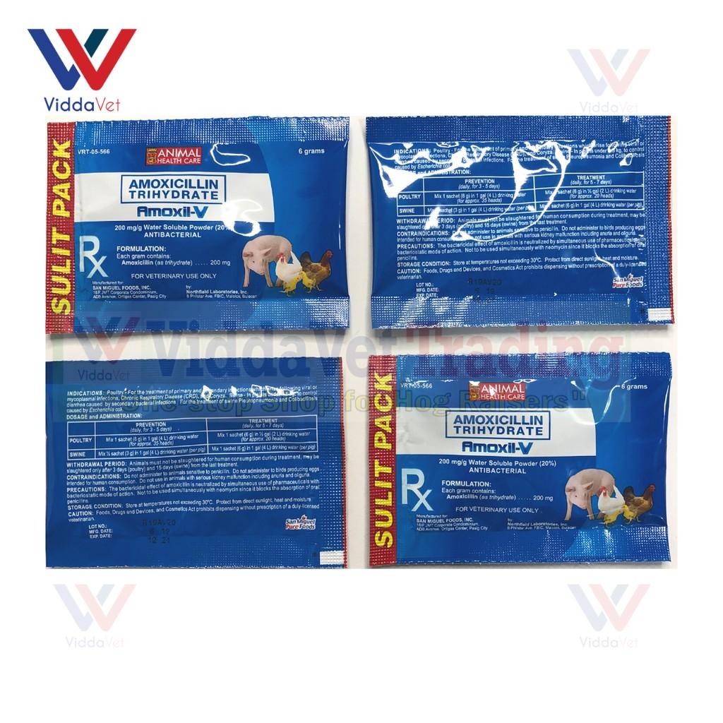 Amoxil-V 6Grams