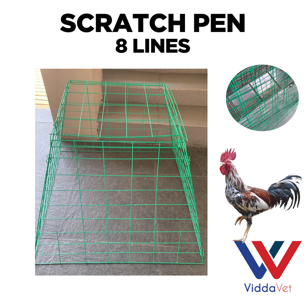 Scratch Pen