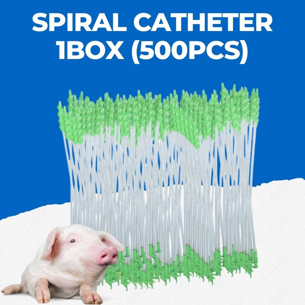 Foam Tip Spiral Catheter 500pcs 1 Box