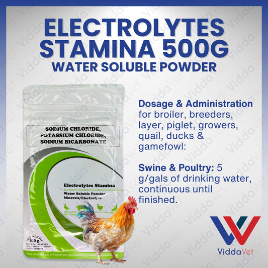 Electrolytes Stamina 500Grams
