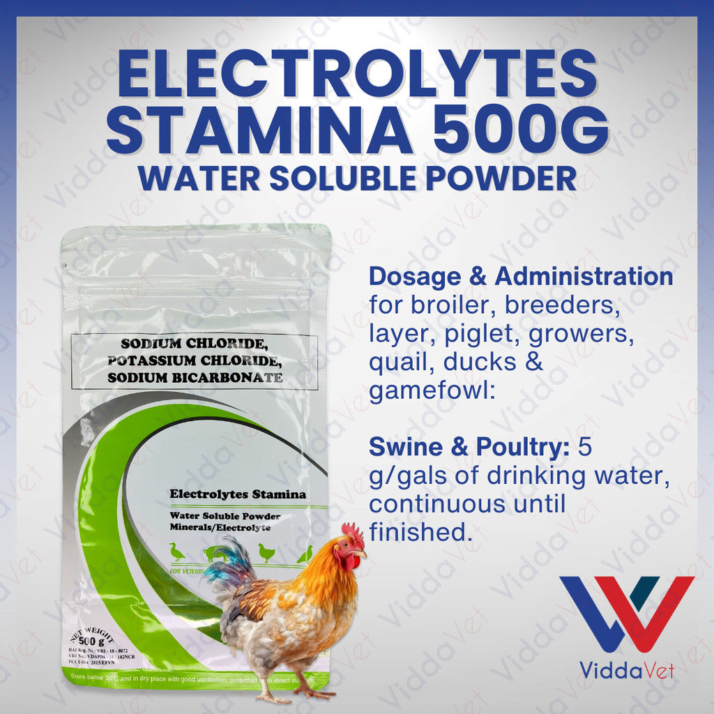 Electrolytes Stamina 500Grams
