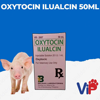 Oxytocin Ilualcin 50ml