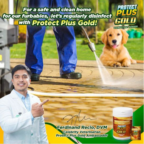 Protect Plus Gold