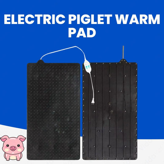 Piglet Electric Heating Warm Pad