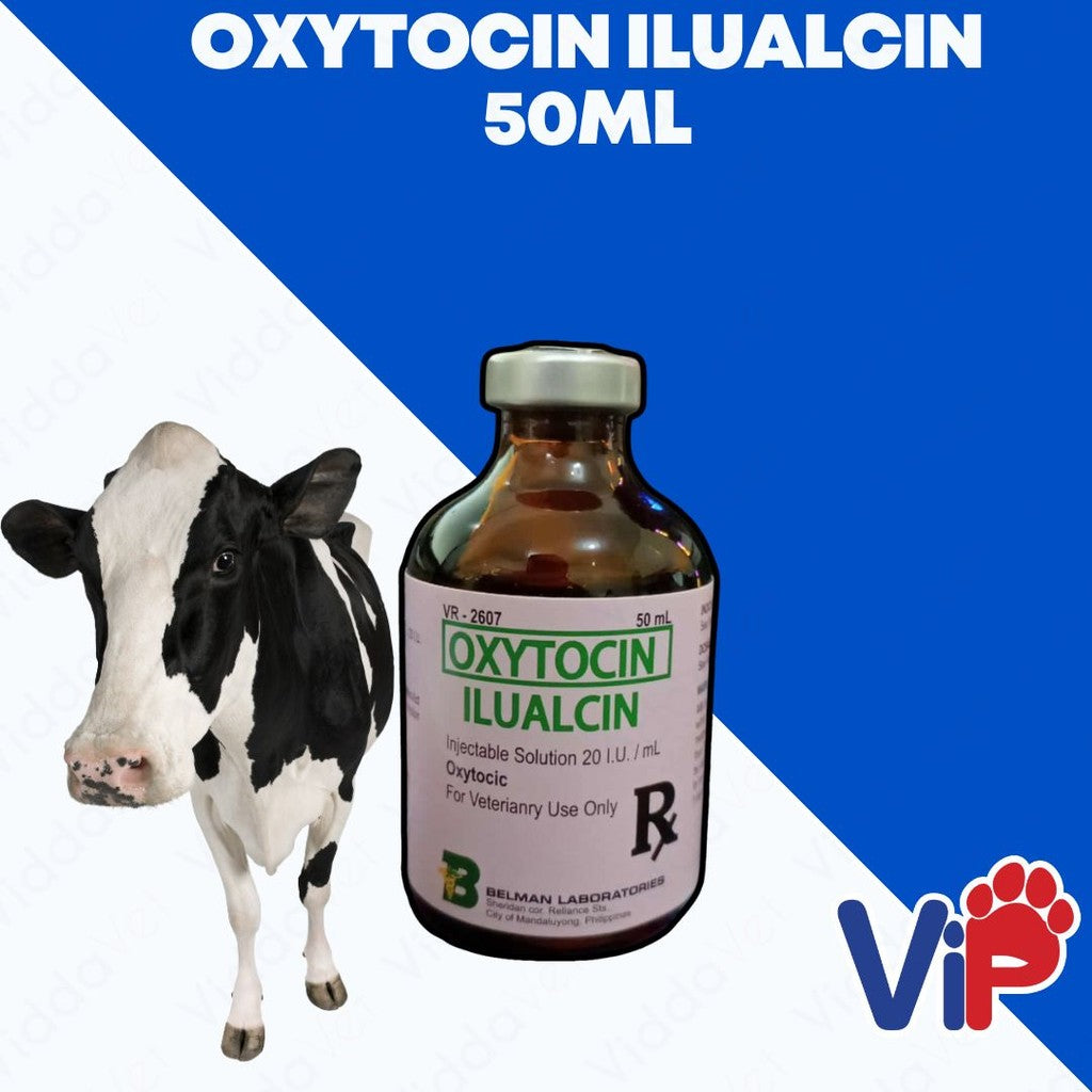 Oxytocin Ilualcin 50ml