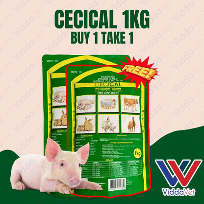 Cecical Powder Buy 1 Take 1 1kg