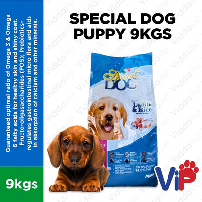 Special Dog Puppy 9KG