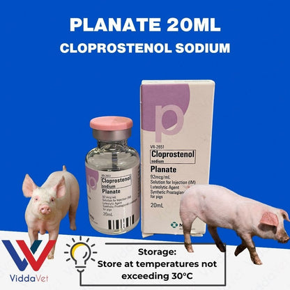 Planate 20mL