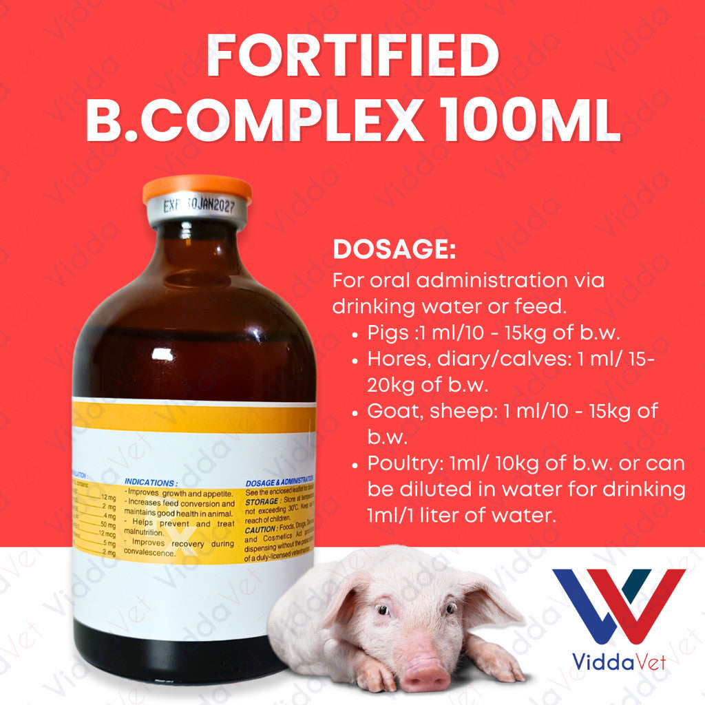 Fortified B Complex 100ml