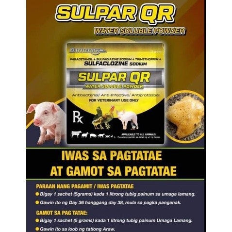 Sulpar QR (50 pcs) 1Box