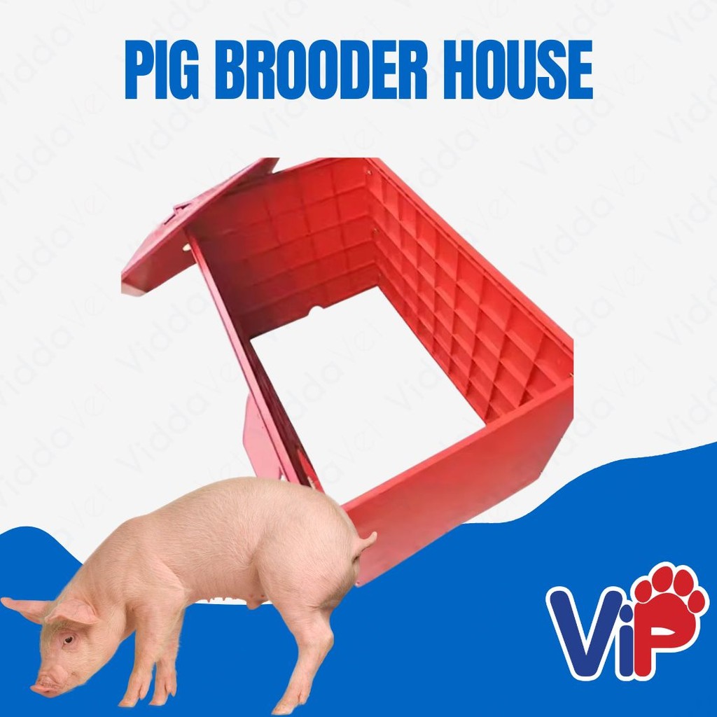 Piglet Brooder house