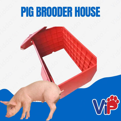 Piglet Brooder house