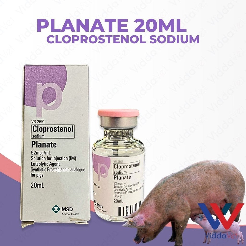 Planate 20mL