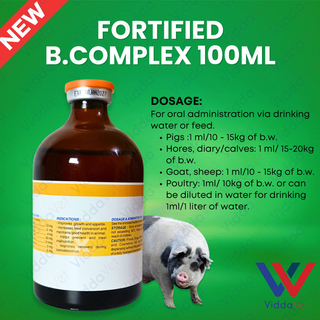Fortified B Complex 100ml