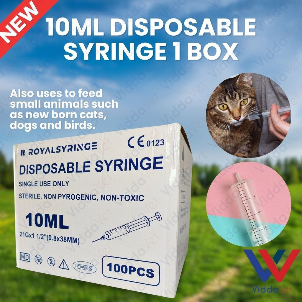 10ml Disposable Syringe (1Box100Pcs)